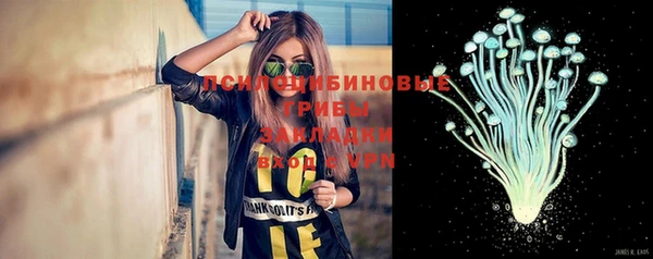 дурь Балахна