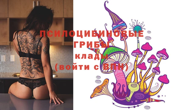 прущие грибы Баксан