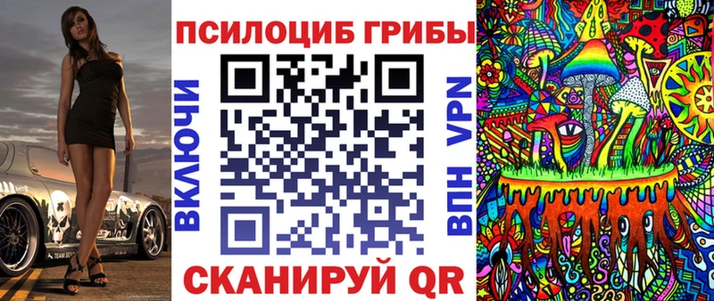 darknet наркотические препараты  закладки  Дагестанские Огни  Галлюциногенные грибы мухоморы 