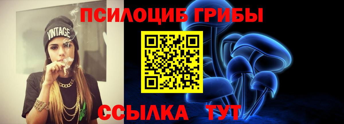 Псилоцибиновые грибы ЛСД  Вход с VPN  магазин  наркотиков  Дагестанские Огни 